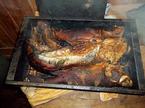 Копчуха(по шаманскому рецепту).JPG