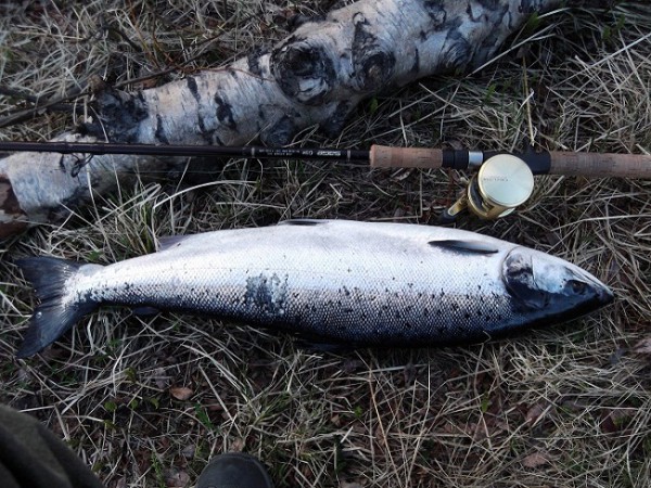 DSCF1290.JPG (291.85 КБ) Просмотров: 9927 DSCF1290.JPG