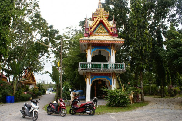 385.JPG