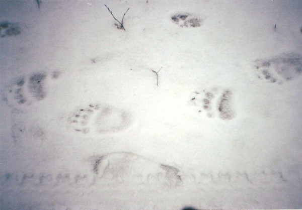 Scan-130309-0001.jpg