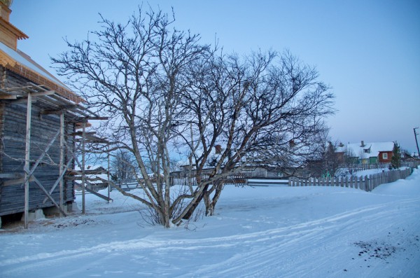 DSC_0222.JPG