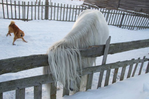 Кузомень 005 .JPG