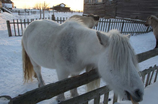 Кузомень 011 .JPG