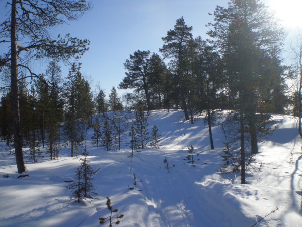 P3190436.JPG