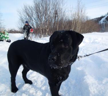 март 2013 073.JPG