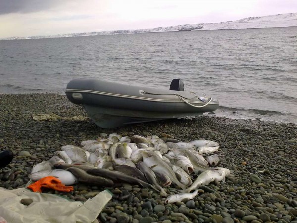 300320131662_thumb.jpg (100.81 КБ) Просмотров: 4779 300320131662_thumb.jpg