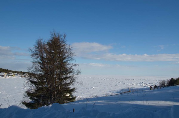 DSC_0255.JPG