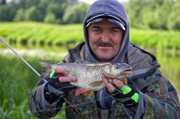 fish0108.jpg