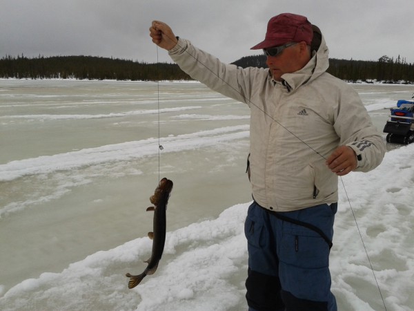 2013-04-19 12.42.26-1.JPG