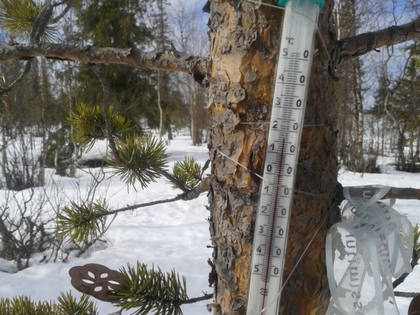 2013-04-21 13.12.29-1.JPG