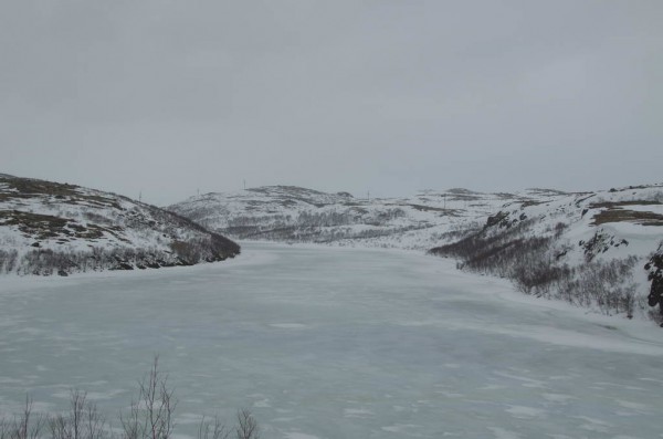 DSC_0339.JPG
