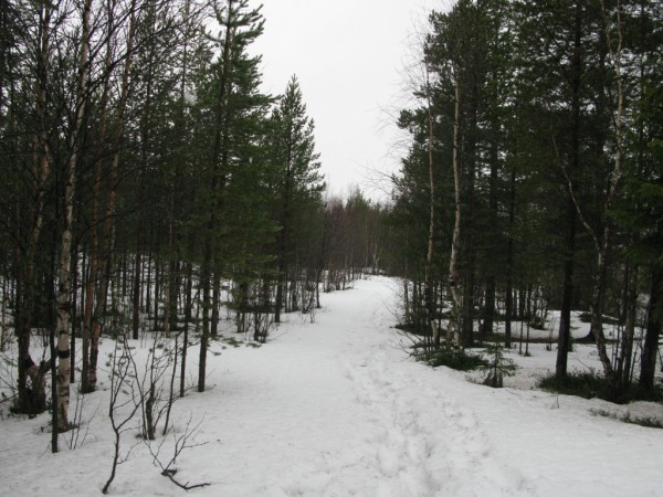 IMG_9928 - копия.JPG