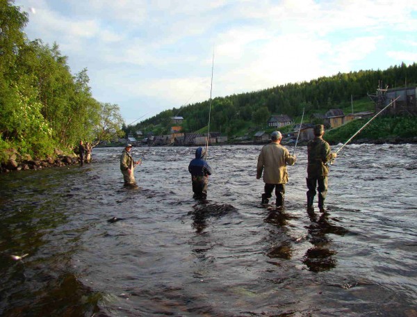 Лов горбуши на Умбе..jpg