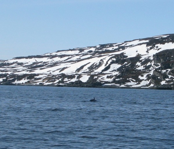 Копия IMG_9968.JPG