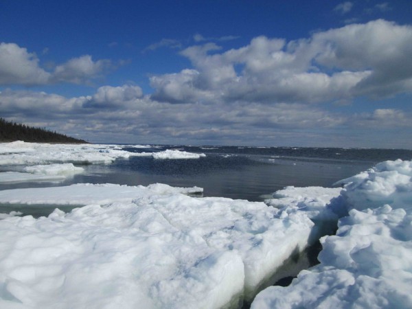 sn 068_изменить размер.jpg