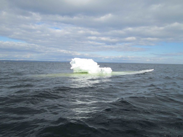 sn 083_изменить размер.jpg