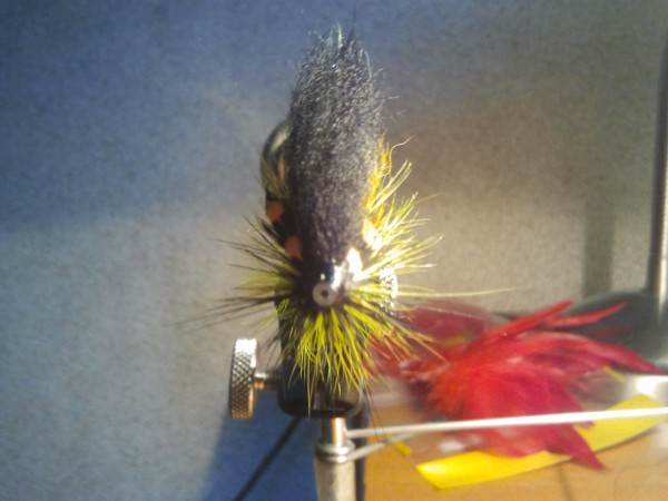2013-05-06 15.50.36.jpg