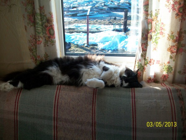 100_0796.JPG