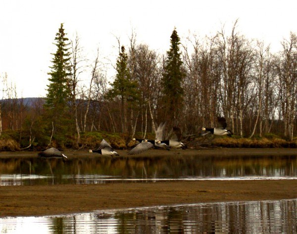 DSC_0036.jpg