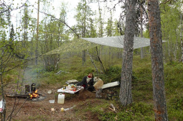 тентик.JPG