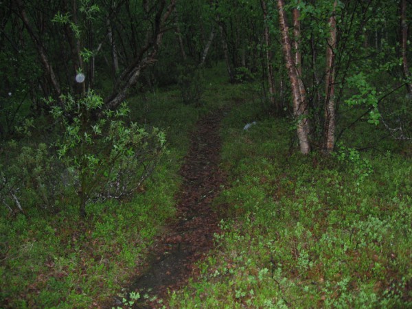IMG_1621.JPG