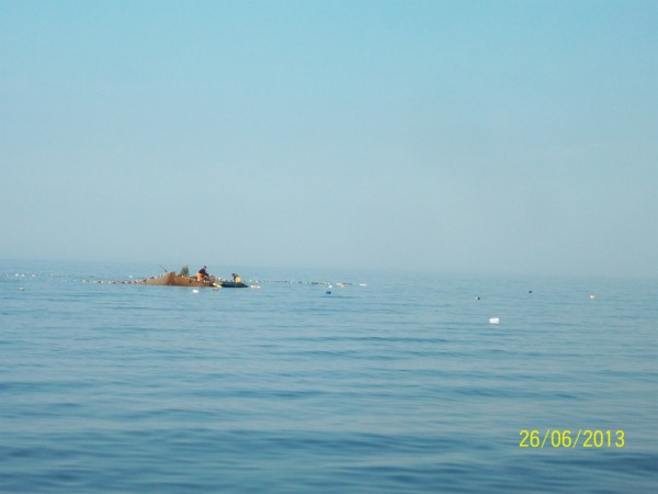 100_1435.JPG