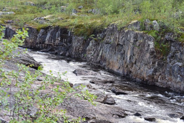 DSC_0066.jpg (395.65 КБ) Просмотров: 2747 DSC_0066.jpg