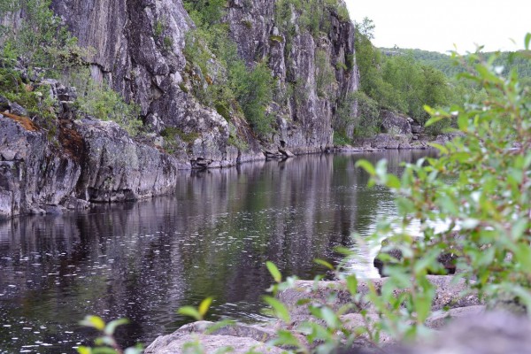 DSC_0095.jpg (332.45 КБ) Просмотров: 2786 DSC_0095.jpg