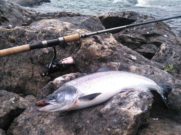 IMG_20130628_230403.jpg (427.64 КБ) Просмотров: 2747 IMG_20130628_230403.jpg