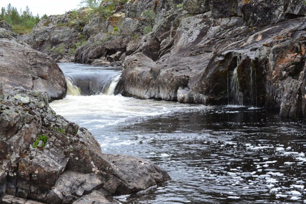 DSC_0100.jpg (361.31 КБ) Просмотров: 2748 DSC_0100.jpg