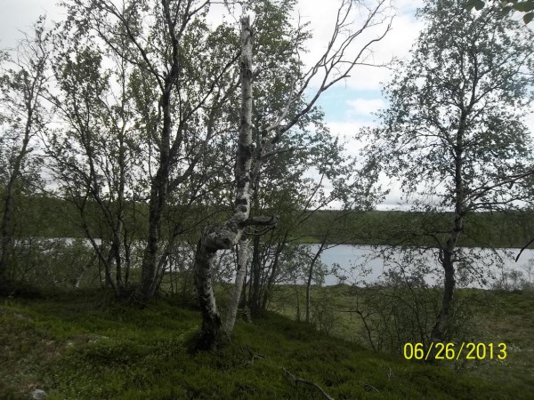 100_1678.jpg