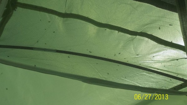 100_1692.jpg