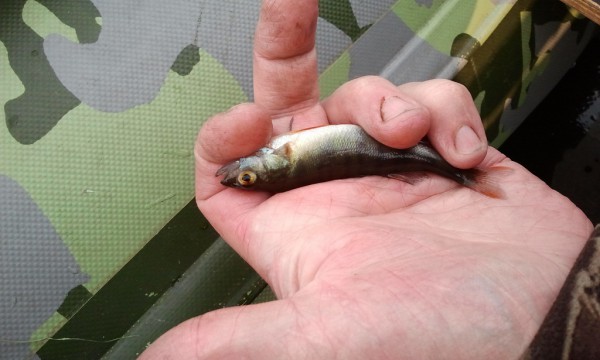 20130629_224244.jpg