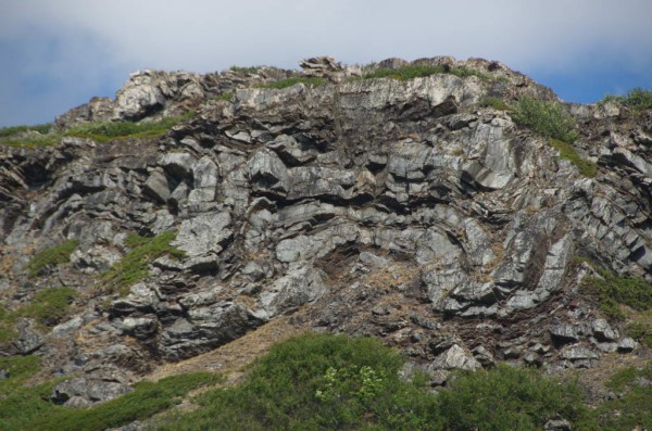 DSC_0597.JPG