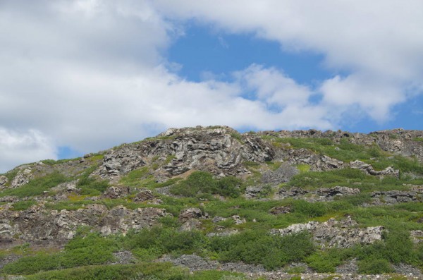 DSC_0598.JPG