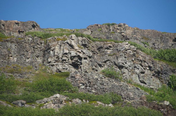 DSC_0600.JPG