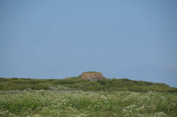 DSC_0622.JPG