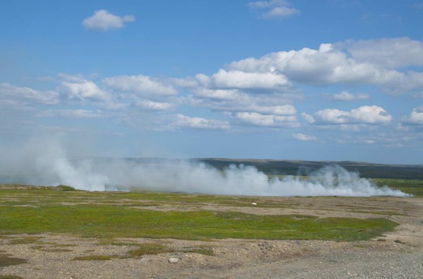 DSC_0647.JPG