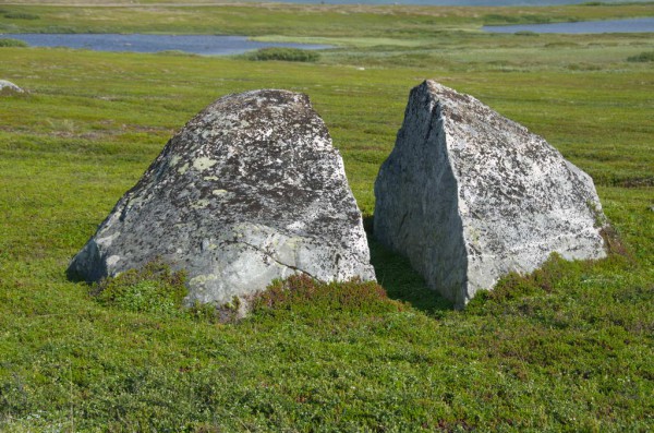 DSC_0651.JPG