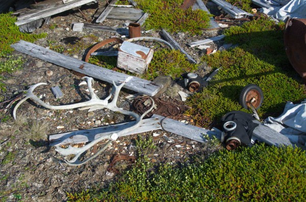 DSC_0675.JPG