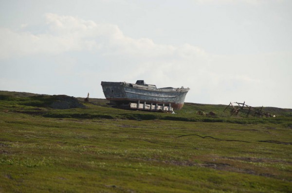 DSC_0690.JPG