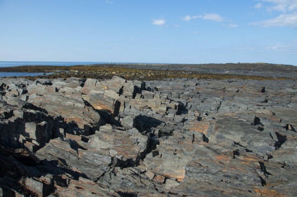 DSC_0710.JPG