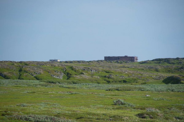 DSC_0721.JPG