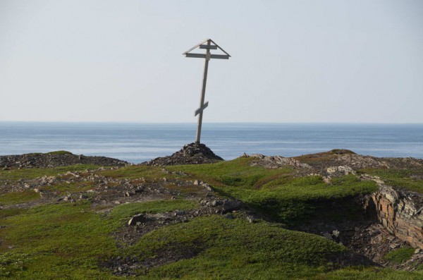 DSC_0729.JPG