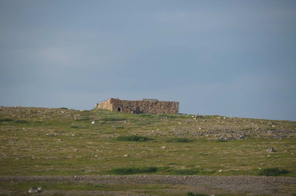 DSC_0751.JPG