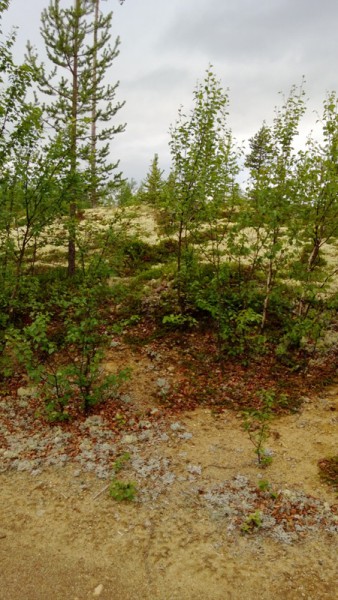 WP_20130628_003.jpg