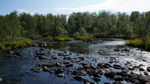 DSC00668.jpg (376.89 КБ) Просмотров: 5247 DSC00668.jpg