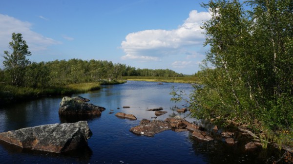 DSC00669.jpg (315.25 КБ) Просмотров: 5269 DSC00669.jpg