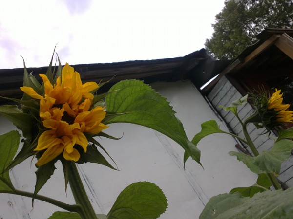08082013142.JPG