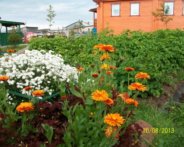 100_1703.JPG